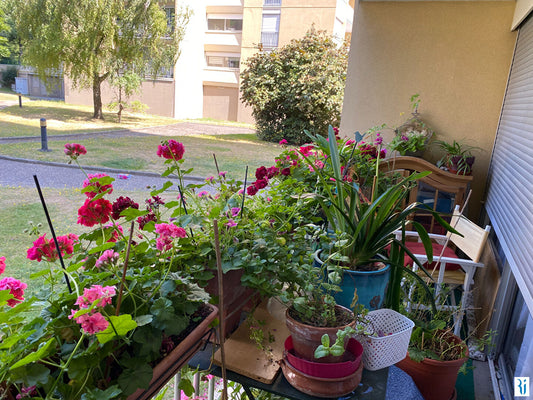 APPARTEMENT ROUEN 3 PIÈCES 65.21 M²