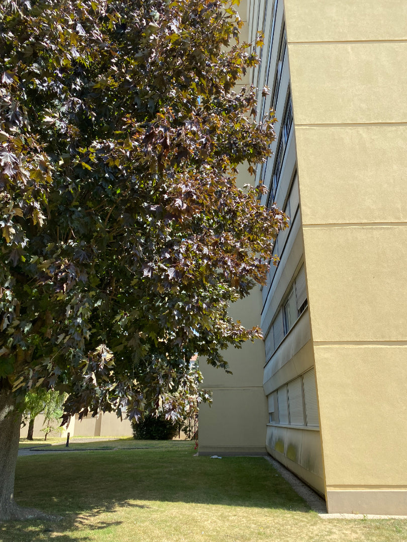 APPARTEMENT ROUEN 3 PIÈCES 65.21 M²